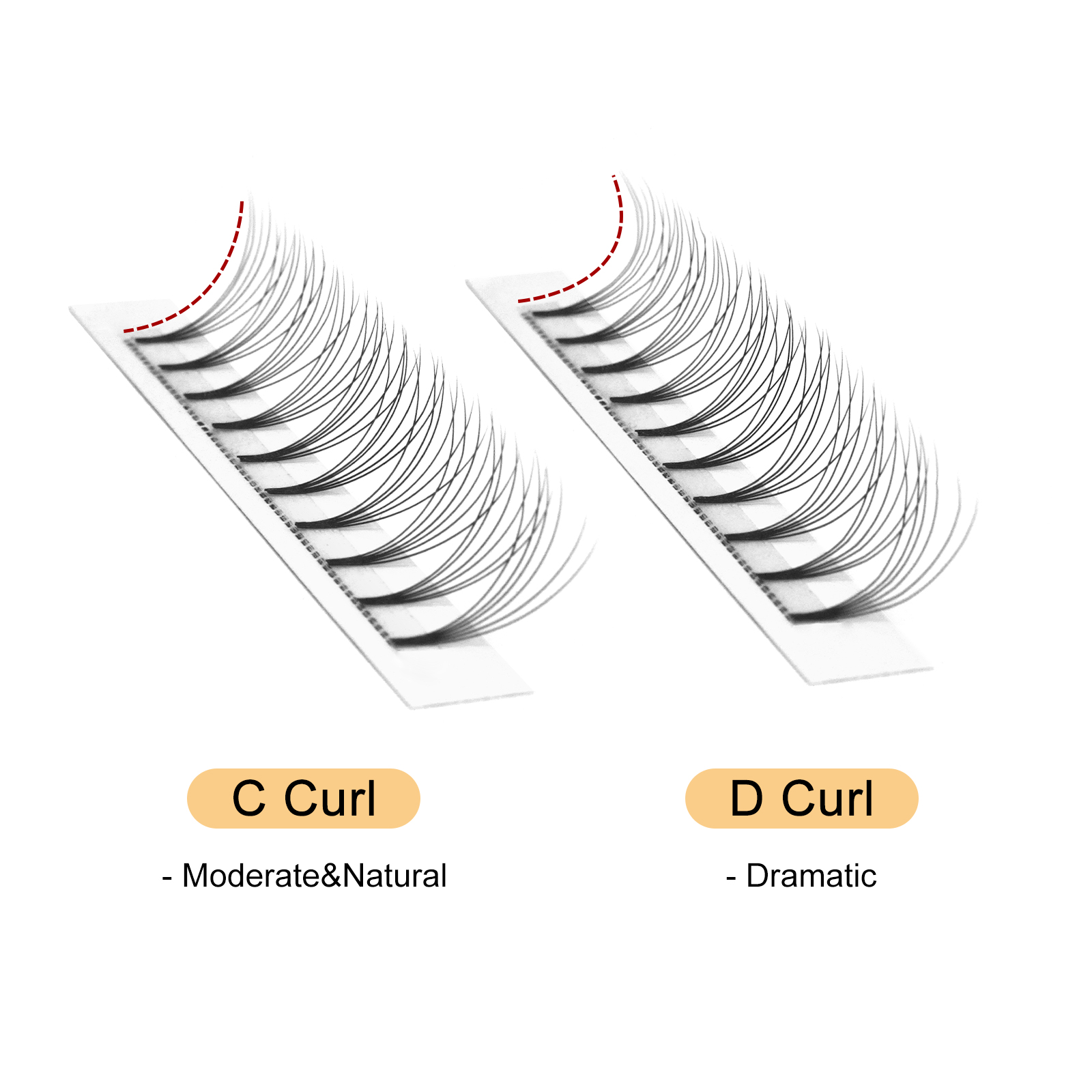 Quewel رموش مراوح مسبقة الصنع  - مراجعة Individual Lash Tray وسعره