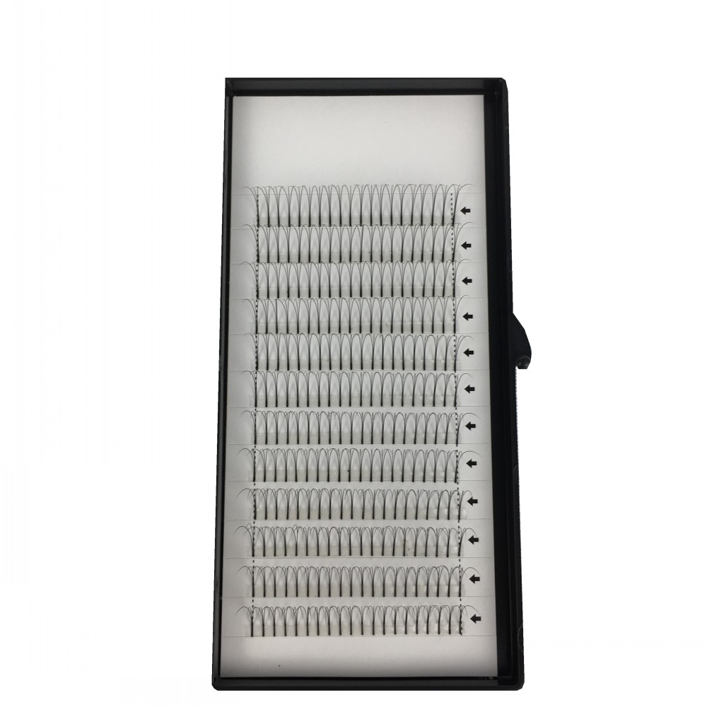 لي. لاش 10 قطعة 0.07/0.10 C/D  - مراجعة Individual Lash Tray وسعره